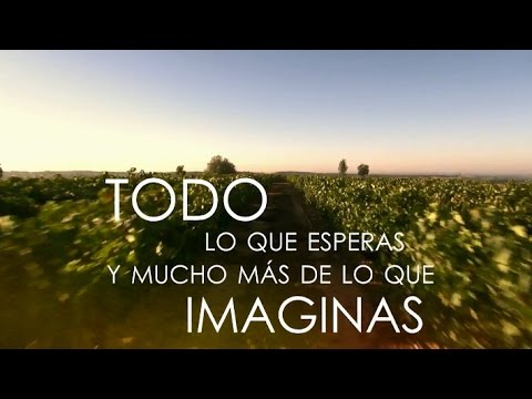 ¿Cuál es el papel de la familia real en la promoción del turismo en España?